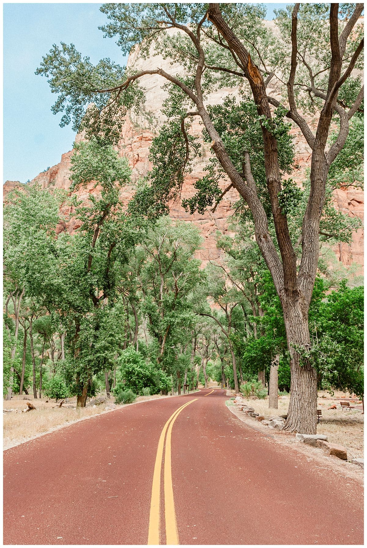 Kelionė JAV, Kelionė Jutoj, Kelionė Utah, Zion National Park, Siono nacionalinis parkas